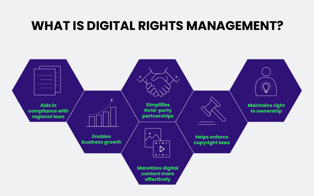 The Cornerstone of Digital Rights Management (DRM): Access Rights and Permissions